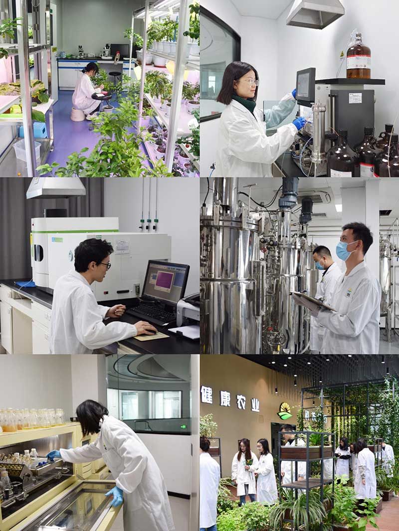 “全國科技工作者日”:推動農(nóng)業(yè)綠色高質(zhì)量發(fā)展,新朝陽科研人在路上