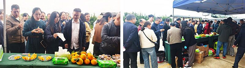 新朝陽生物技術(shù)助力綠色防控,推動(dòng)柑橘產(chǎn)業(yè)綠色高質(zhì)量發(fā)展